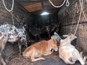 WhatsApp-Image-2024-06-18-at-5.37.28-PM