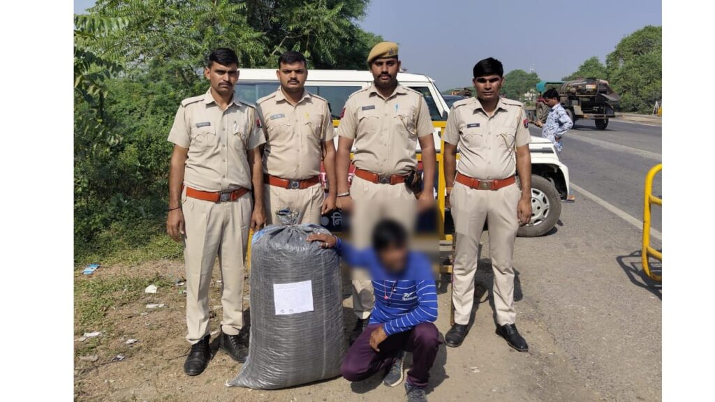 WhatsApp Image 2024-10-27 at 10.58.43 PM (2)