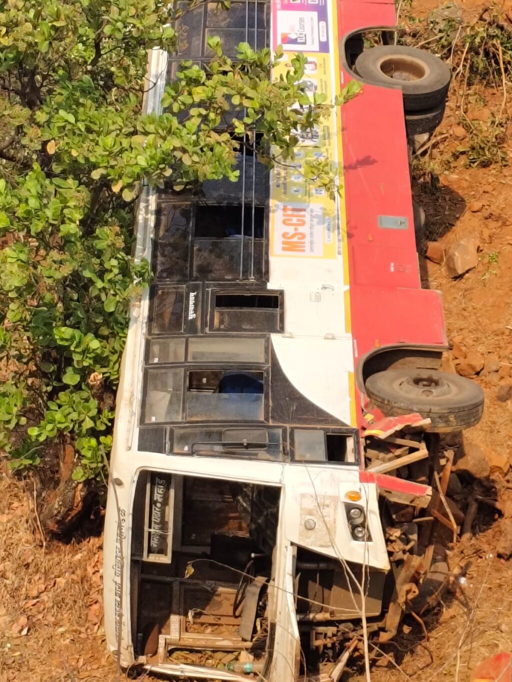 WhatsApp Image 2025-03-16 at 8.29.35 AM (1)